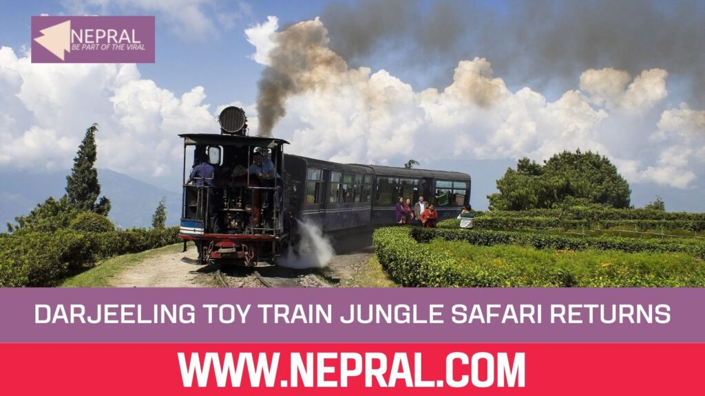 Jungle Safari Siliguri Back on Track as Darjeeling Toy Train Makes Comeback