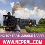 Jungle Safari Siliguri Back on Track as Darjeeling Toy Train Makes Comeback