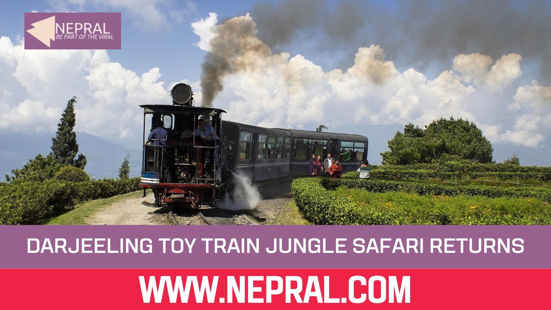 Jungle Safari Siliguri Back on Track as Darjeeling Toy Train Makes Comeback