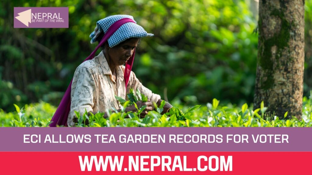 ECI voter revision, tea garden workers, North Bengal voters, electoral rolls West Bengal, cinchona plantation records, SIR 2026, Darjeeling elections, voter ID rules