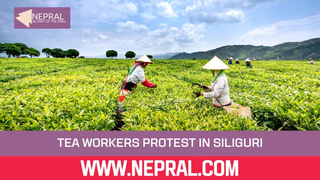 Tea Workers Demand Minimum Wages in Siliguri Protest
