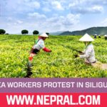 Tea Workers Demand Minimum Wages in Siliguri Protest