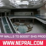 WB PPP Malls to Boost SHG Products Across Districts