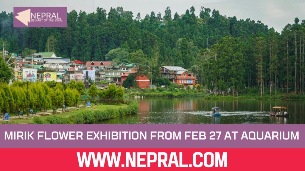 Mirik Flower Exhibition from Feb 27 at Aquarium