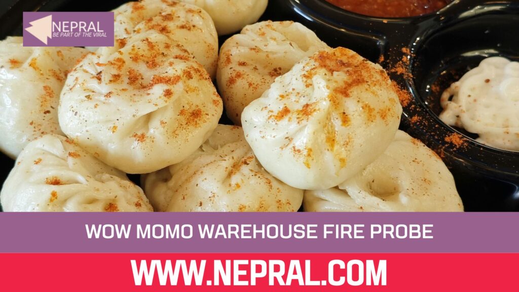 Wow Momo Warehouse Fire Probe Arrests and Political Row