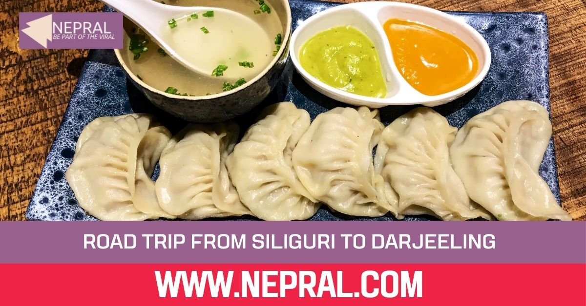 The Ultimate Food Road Trip from Siliguri to Darjeeling: Best Places to Eat Along NH 55