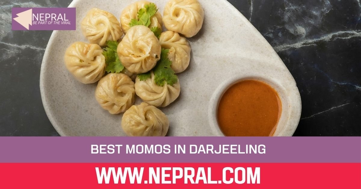 Best Momos in Darjeeling: Where to Find a Great Plate